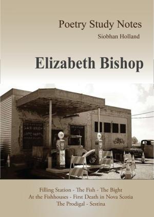 Cover of the book Poetry Study Notes: Elizabeth Bishop by Andy B
