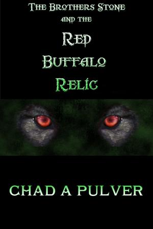 Cover of the book The Brothers Stone and the Red Buffalo Relic by Scott Warren
