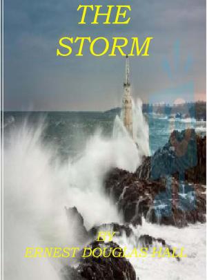 Cover of the book The Storm by Robert Moons