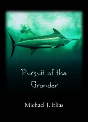 Book cover of Pursuit of the Grander