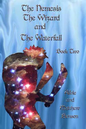 Book cover of The Nemesis, The Wizard and the Waterfall. Book two