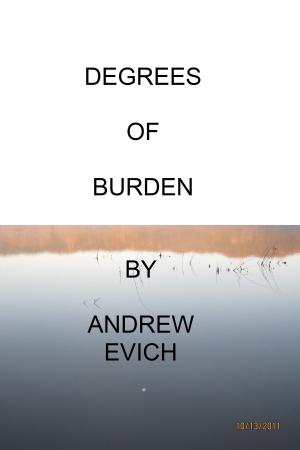 Cover of the book Degrees of Burden by Aurora Zahni