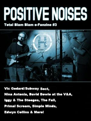 bigCover of the book Positive Noises (Total Blam Blam #3) by 