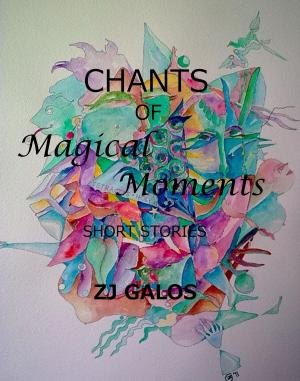 Cover of the book Chants of Magical Moments by ZJ Galos