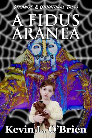 Book cover of A Fidus Aranea