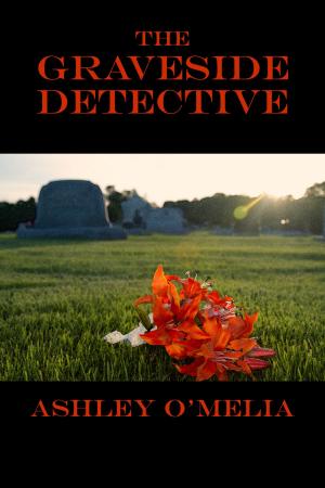bigCover of the book The Graveside Detective by 
