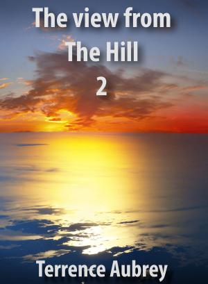Book cover of The View from the Hill 2