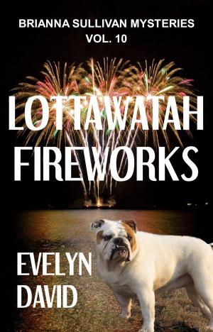 Cover of the book Lottawatah Fireworks by Rei Kimura