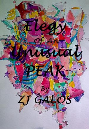 Book cover of Elegy Of An Unusual Peak