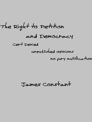 Cover of the book The Right to Petition And Democracy by Hurst, Royce