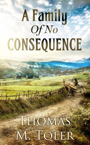 Cover of the book A Family Of No Consequence by Arje Shaw