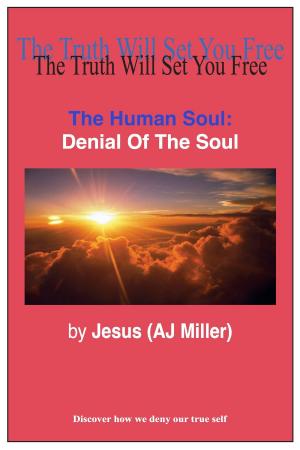 Cover of the book The Human Soul: Denial of the Soul by Alan Gelb