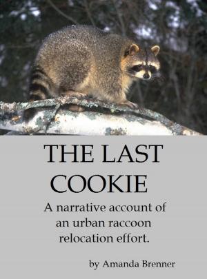 Cover of The Last Cookie