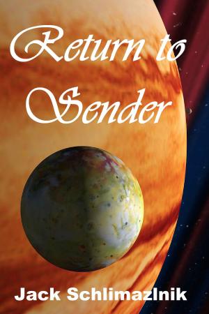 Cover of the book Return To Sender by Fiona McShane