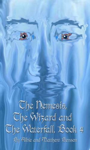 Cover of the book The Nemesis, The Wizard and The Waterfall. Book Four. by Jae Shanks