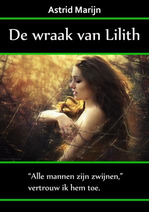 Book cover of De wraak van Lilith