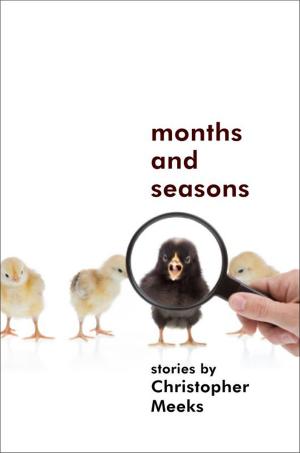 Cover of the book Months and Seasons by Robin Winter