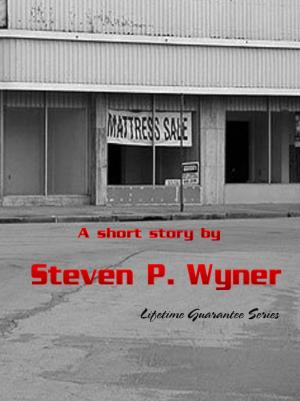 Cover of the book Short Story Mattress Sale by Gary W Anderson