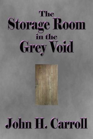 Book cover of The Storage Room in the Grey Void