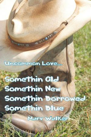 Book cover of "Somethin Old, Somethin New, Somethin Borrowed, Somethin Blue"