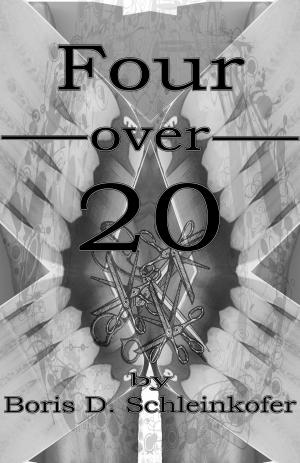 Cover of the book Four Over 20 by Boris D. Schleinkofer