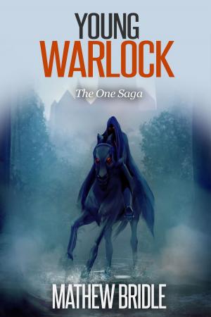 Cover of the book Young Warlock by Meredith Mansfield