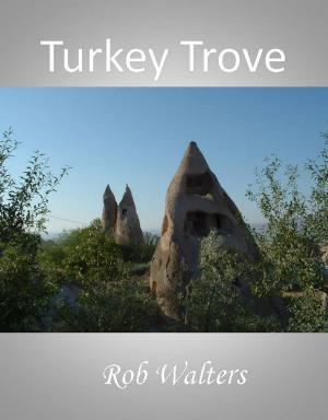 Book cover of Turkey Trove