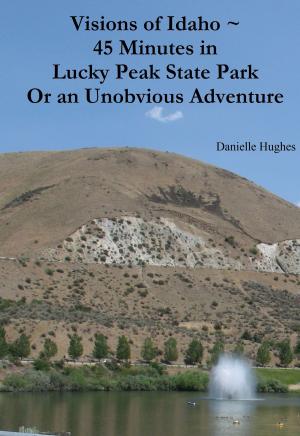 Book cover of Visions of Idaho ~ 45 Minutes in Lucky Peak State Park Or an Unobvious Adventure