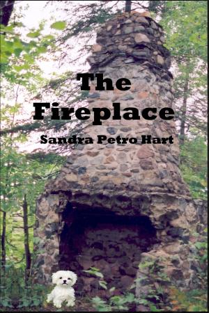 Cover of the book The Fireplace by Kara Skye Smith