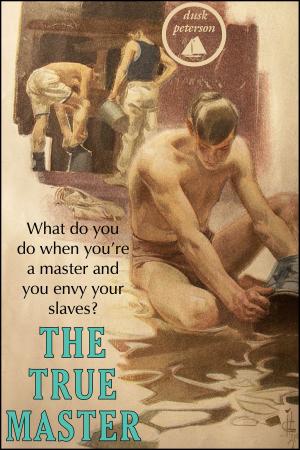 bigCover of the book The True Master (Waterman: Master and Servant #2) by 