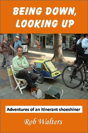 Book cover of Being Down, Looking Up: The Adventures of an Itinerant Shoeshiner