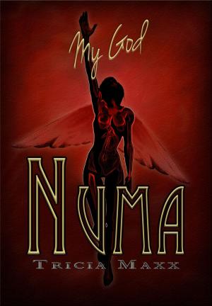 Cover of the book My God Numa by Richard E. White
