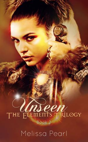 Cover of the book Unseen by Robert Moons
