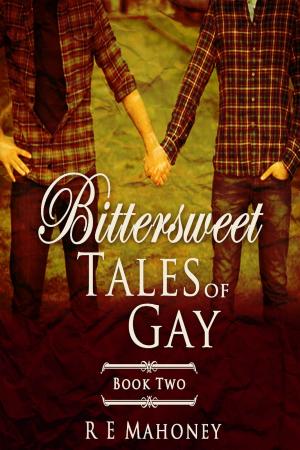Cover of the book Bittersweet Tales of Gay Book Two by Adam Stevens