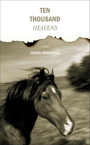 Book cover of Ten Thousand Heavens