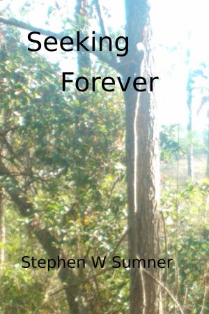 Cover of the book Seeking Forever by 水泉