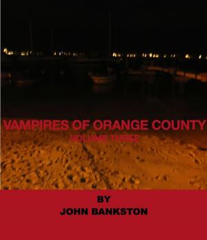 Book cover of Vampires of Orange County Volume 3