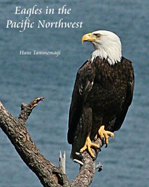 Book cover of Eagles in the Pacific Northwest