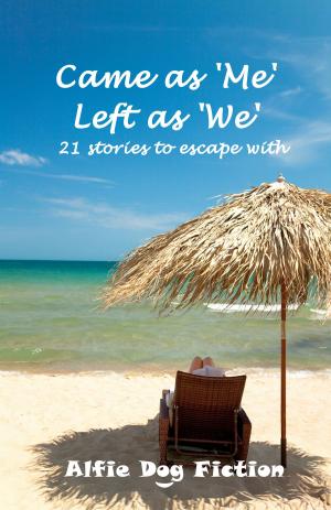 Book cover of Came as 'Me', Left as 'We': 21 stories to escape with