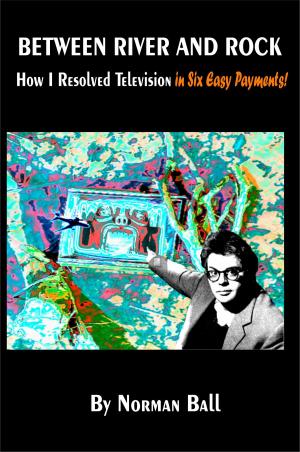 Cover of the book Between River and Rock: How I Resolved Television in Six Easy Payments by Franco Recanatesi