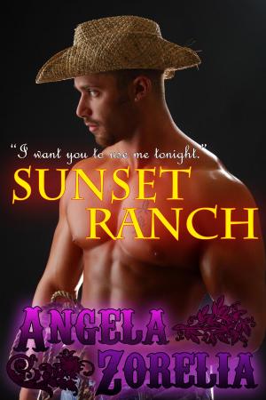 Book cover of Sunset Ranch