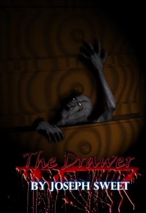 Cover of the book The Drawer by Lisa Compton