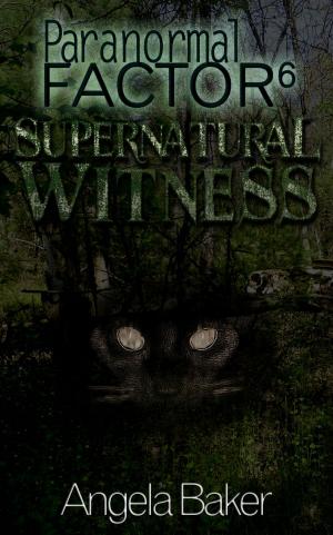 Book cover of Paranormal Factor 6 Supernatural Witness
