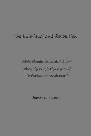 bigCover of the book The Individual And Revolution by 