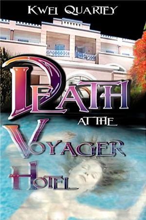 Cover of the book Death at the Voyager Hotel by Stuart Mackay