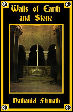 Cover of the book Walls of Earth and Stone by Lee French