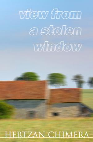 Book cover of View From A Stolen Window