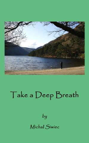Cover of the book Take a Deep Breath: 21 top tips for relaxed, rewarding and healthy life for stressed wage earners. by M Laurence