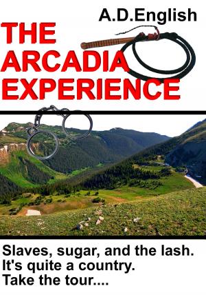 Cover of the book The Arcadia Experience by Frauke and Simon Lewer