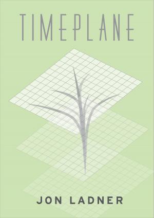 bigCover of the book Timeplane by 